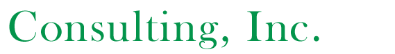 BJM Consulting, Inc.
